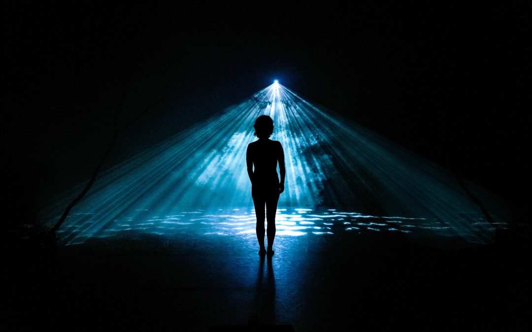AVANT-PREMIERE : Vivarium à Enghien-les-Bains
